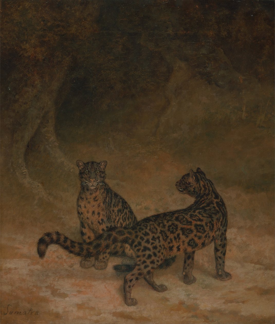 Clouded Leopards av Jacques Laurent Agasse