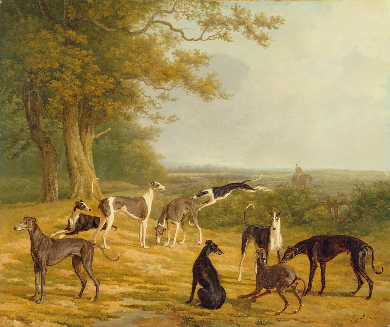 Ni greyhounds i et landskap av Jacques Laurent Agasse