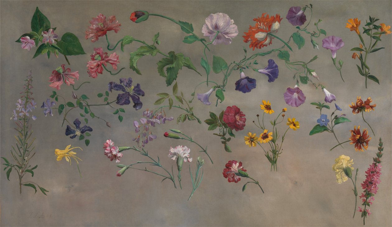 Studier av blomster av Jacques Laurent Agasse