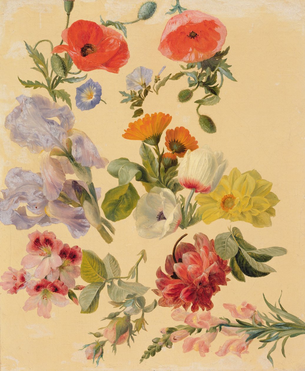 Studier av sommerblomster av Jacques Laurent Agasse