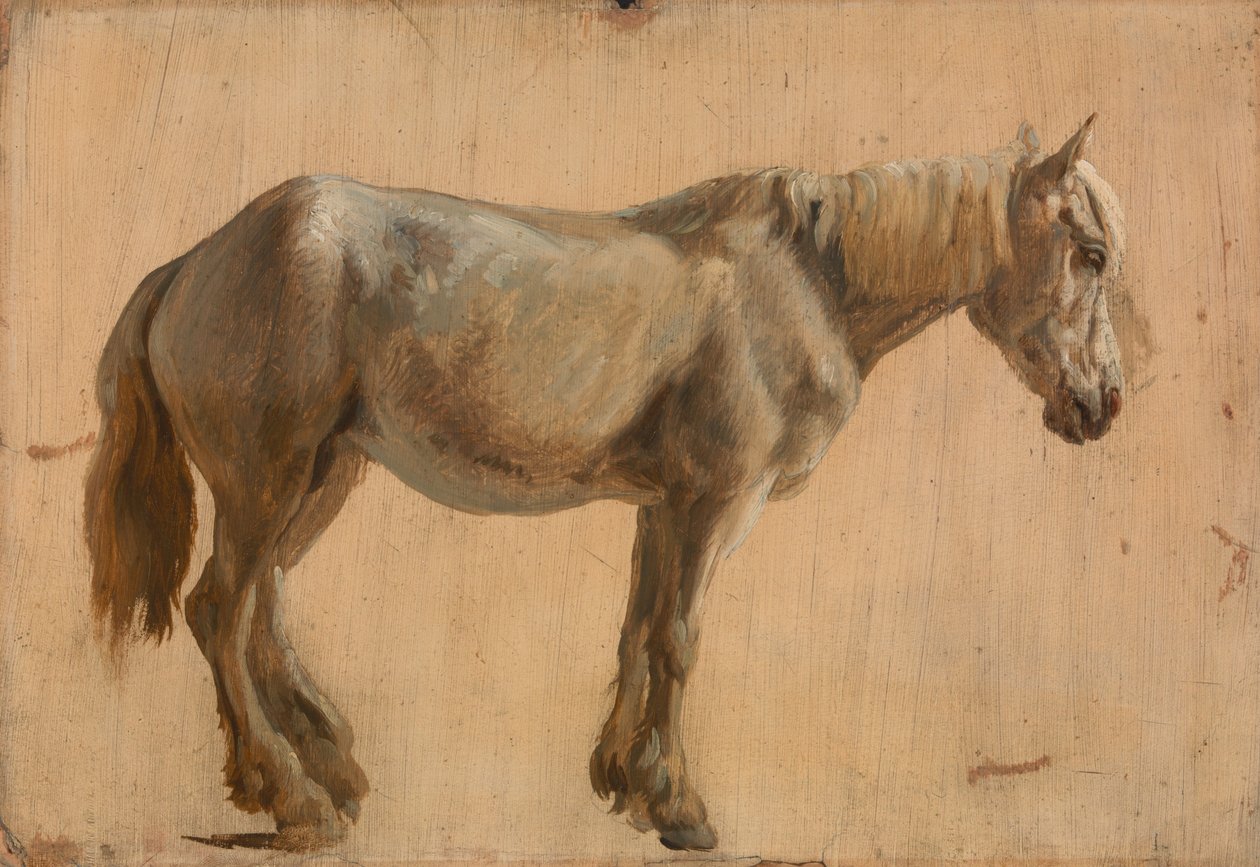 Studie av en grå hest av Jacques Laurent Agasse