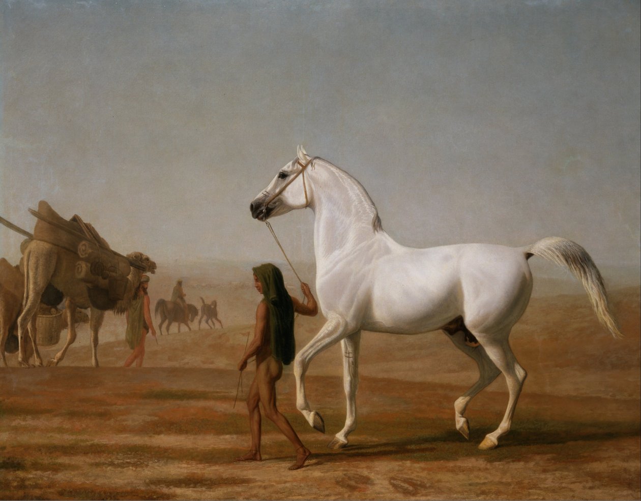 Wellesley Grey Arabian ledet gjennom ørkenen av Jacques Laurent Agasse
