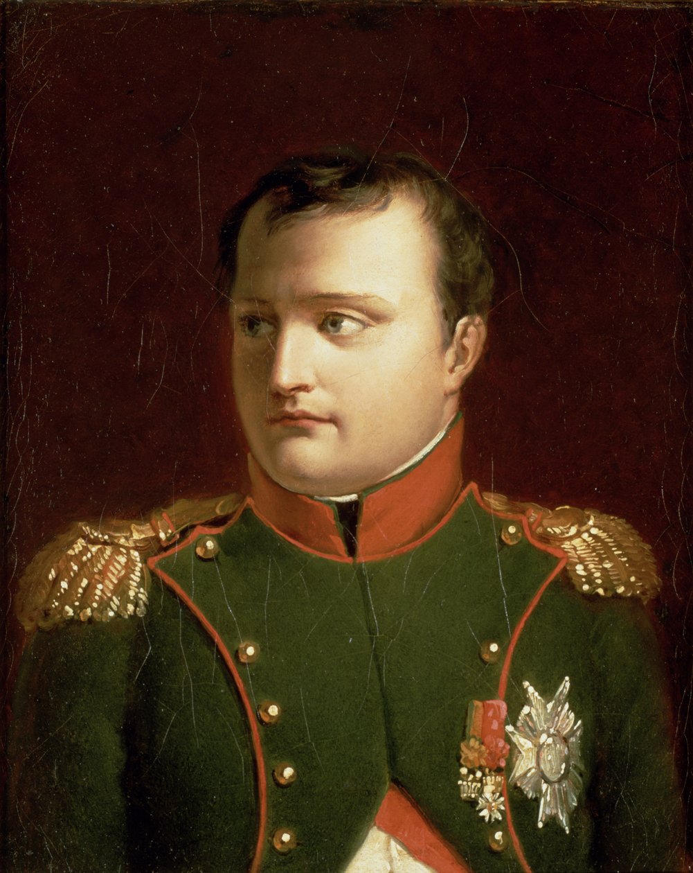 Napoleon Bonaparte (1769-1821) (olje) av Jacques Louis David