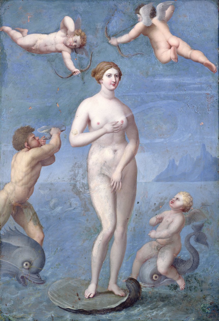 Venus, 1640 (olje og tempera på kobber) av Jacques Stella
