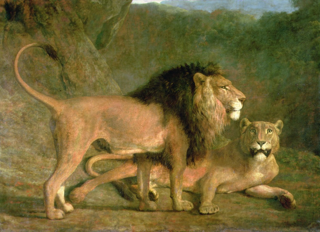 A Lion and a Lioness in a Rocky Valley (olje på lerret) av Jacques Laurent Agasse
