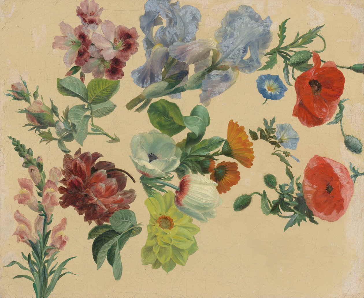 Studier av sommerblomster av Jacques-Laurent Agasse