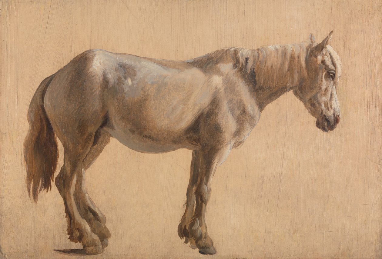 Studie av en grå hest av Jacques-Laurent Agasse