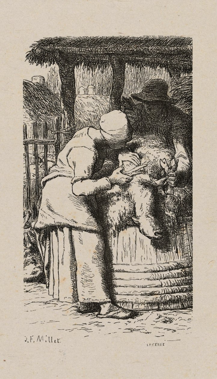 Kvinne som klipper sauer av Jacques Adrien Lavieille