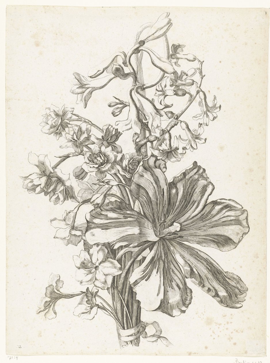 Bukett med en tulipan, en hyasint, brodiaea og påskeliljer Diverse Fleurs mises en Boucquets (serietittel) av Jacques Bailly (I)