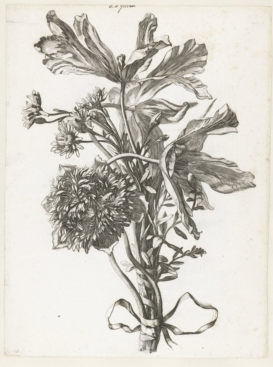 Bukett med falmede tulipaner, en anemone og immortelles Diverse Fleurs mises en Boucquets (serietittel) av Jacques Bailly (I)