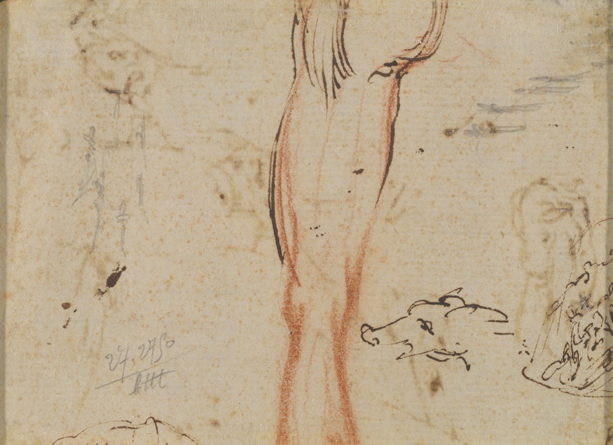 Et bein og et grisehode av Jacques Callot
