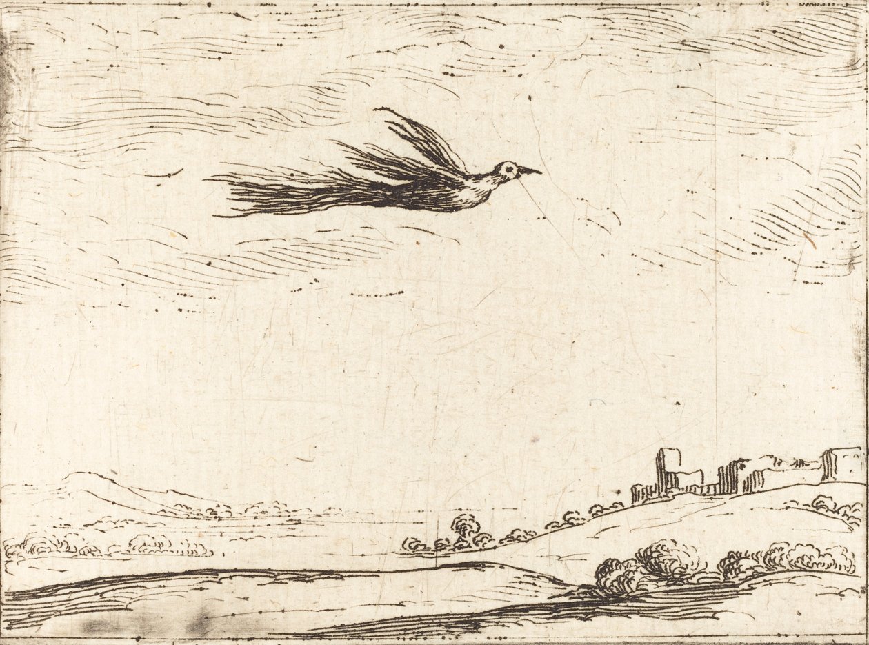 Fugl av paradis av Jacques Callot
