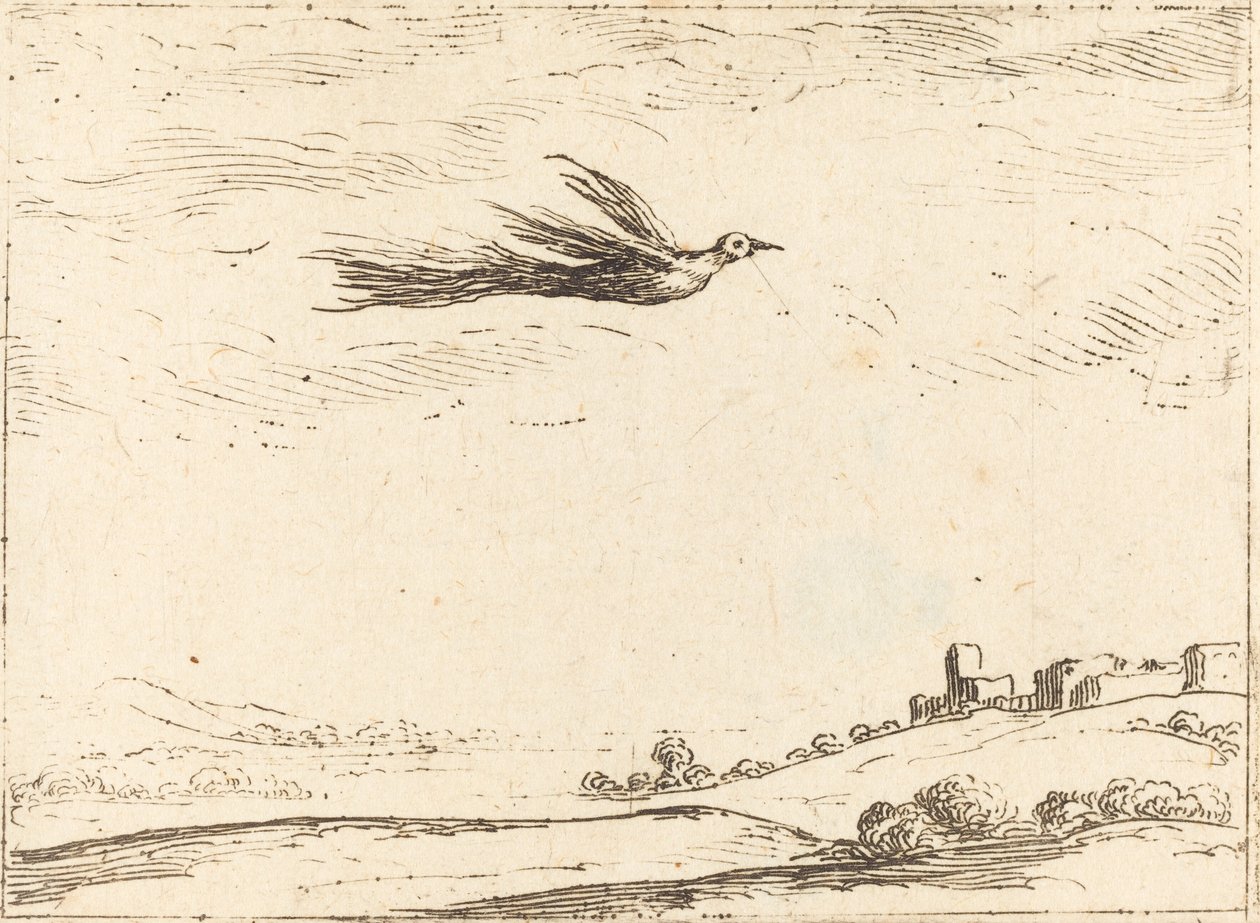 Fugl av paradis av Jacques Callot