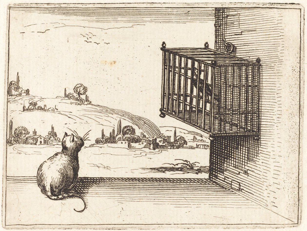 Katt som ser på burfugl av Jacques Callot