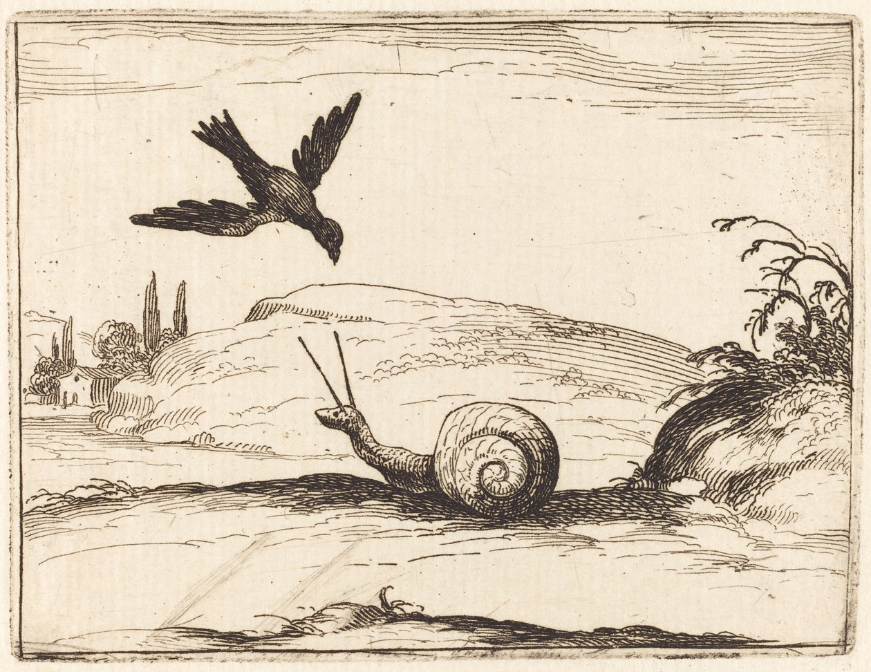 Kråke og snegl av Jacques Callot