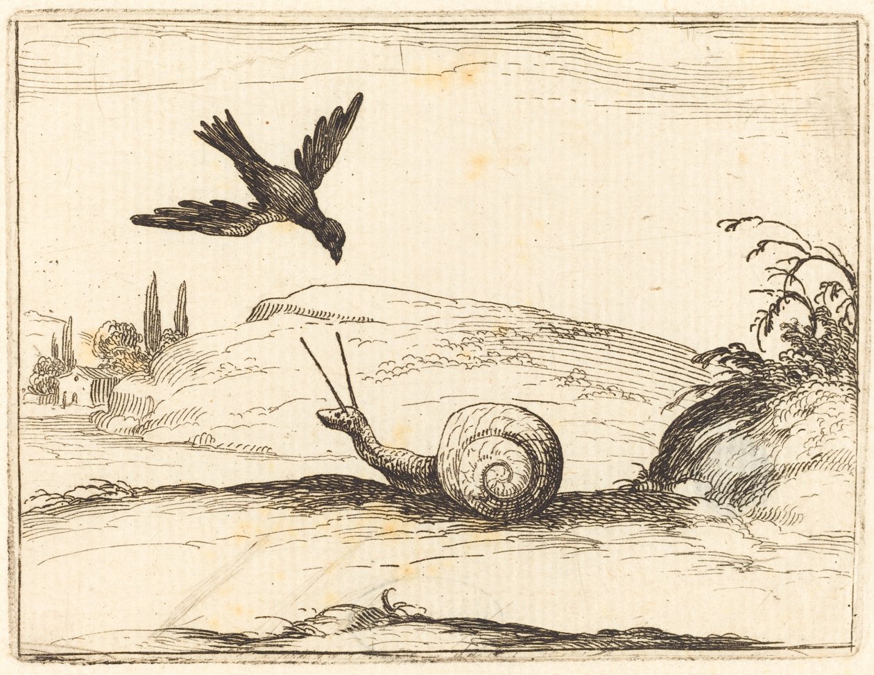 Kråke og snegl av Jacques Callot