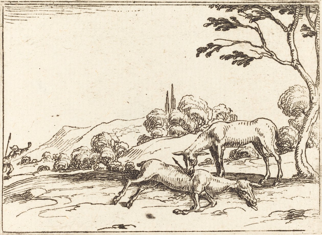 Doe sørger over føllet sitt av Jacques Callot