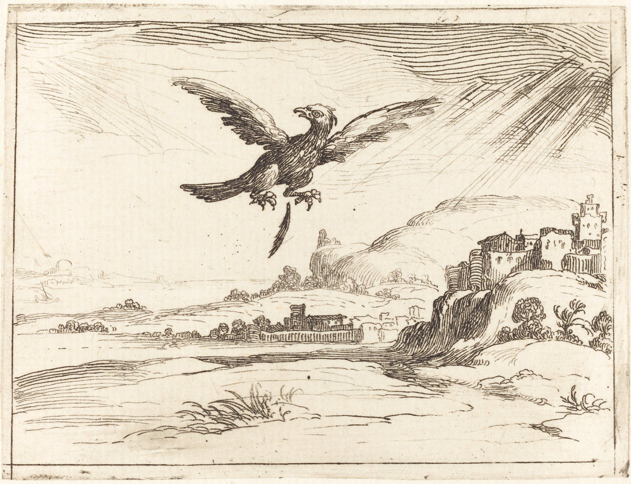 Ørn mister en gammel fjær av Jacques Callot