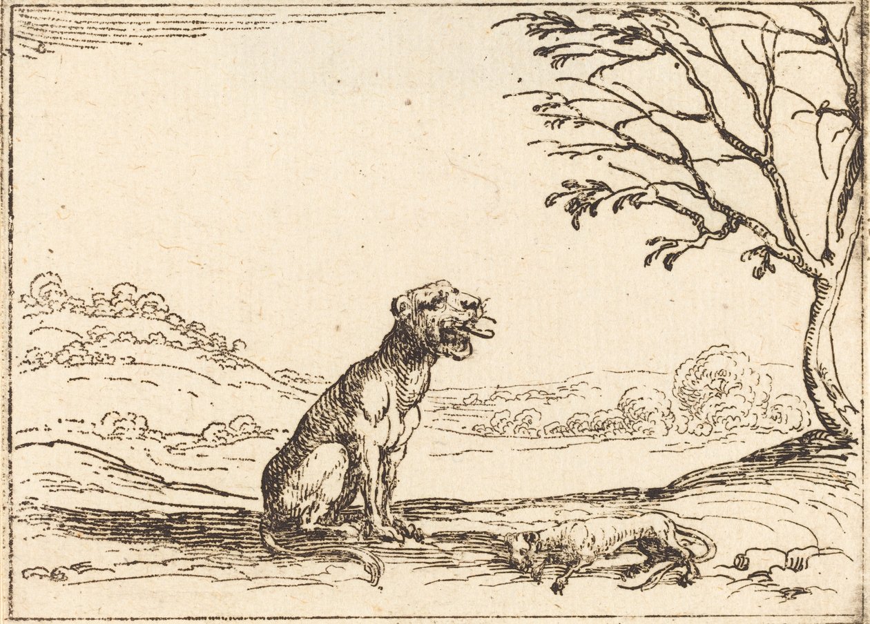 Løvinne sørger over ungen sin av Jacques Callot