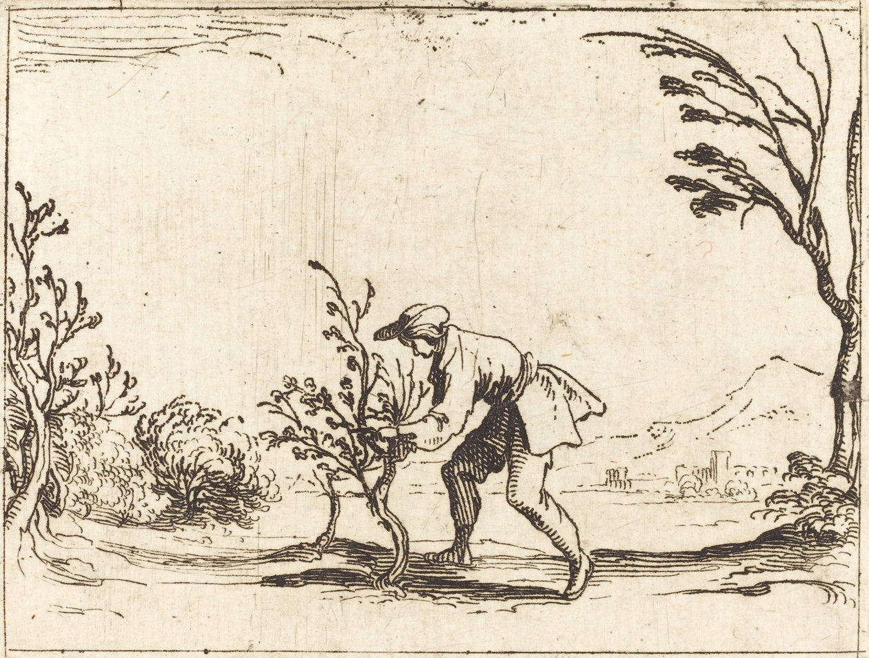 Mann som kutter et balsam-tre av Jacques Callot