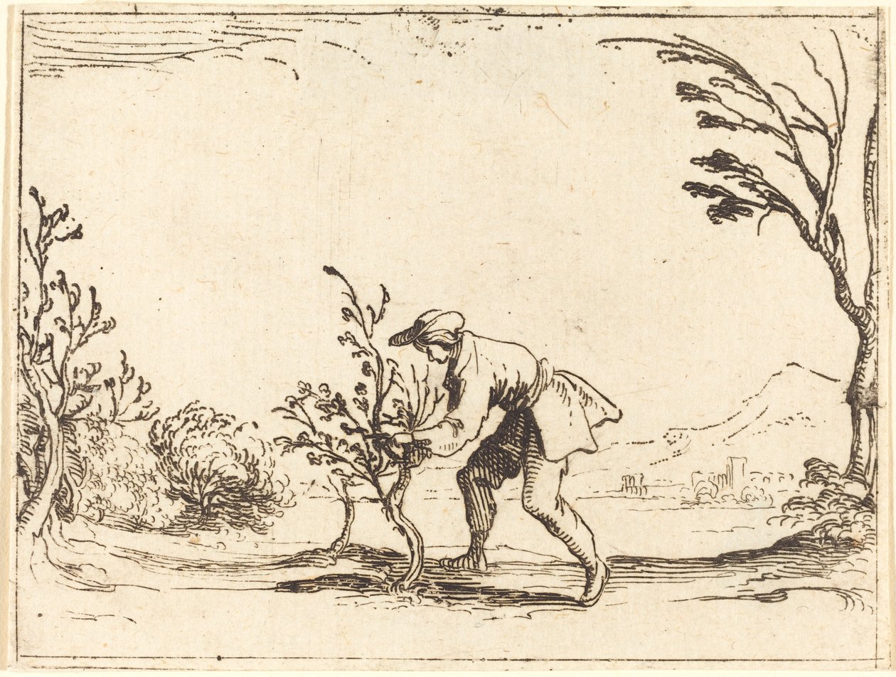 Mann som kutter et balsam-tre av Jacques Callot
