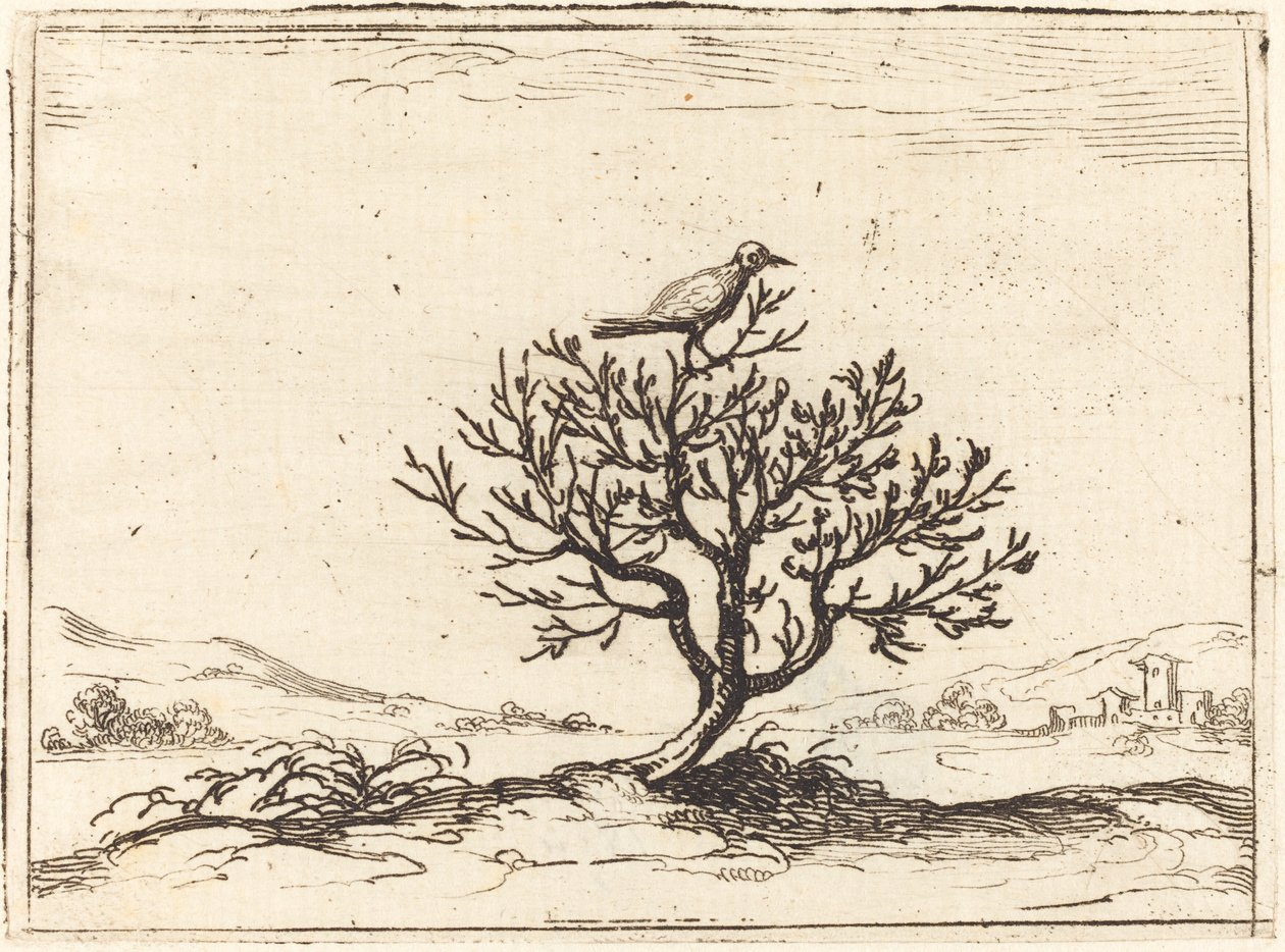 Nightingale in a Bush, 1628. av Jacques Callot