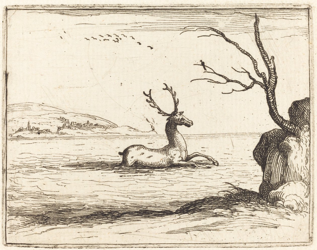 Hjort i vannet av Jacques Callot
