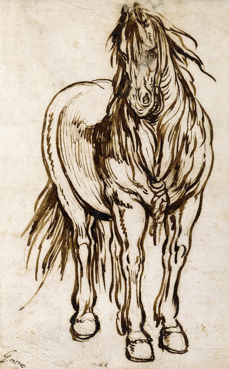 Studie av en hest, av Jacques Callot