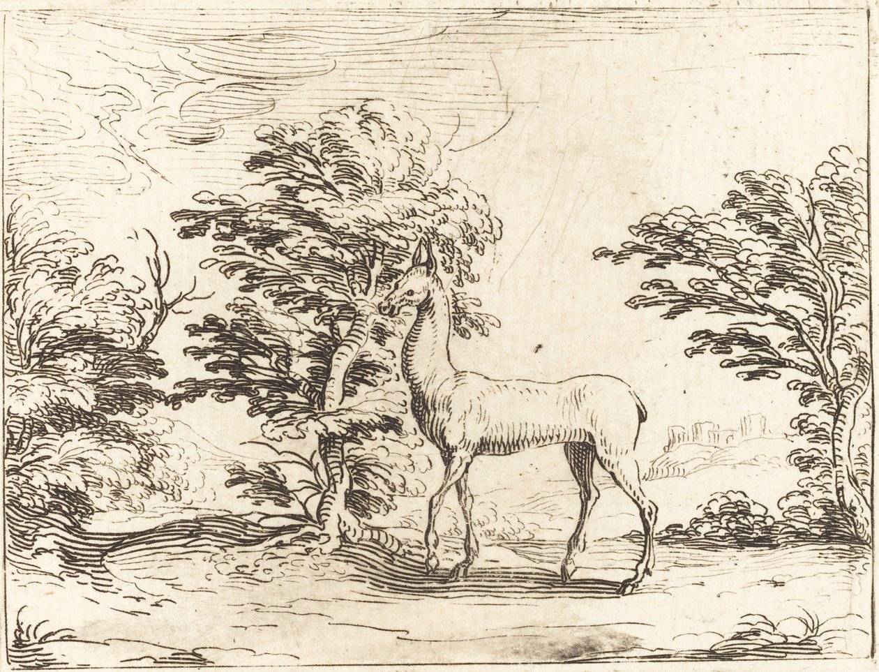 Doe. av Jacques Callot