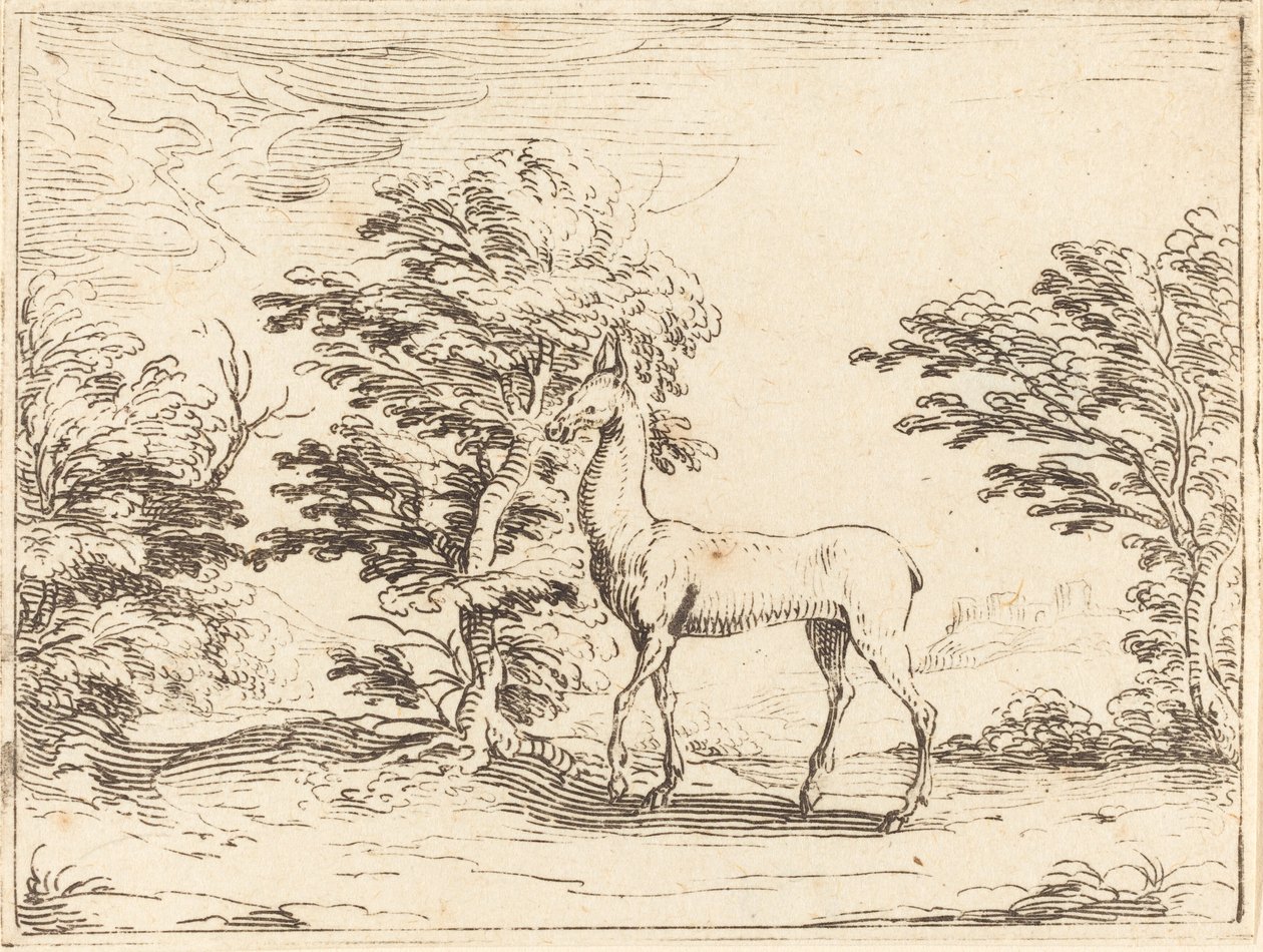 Doe av Jacques Callot