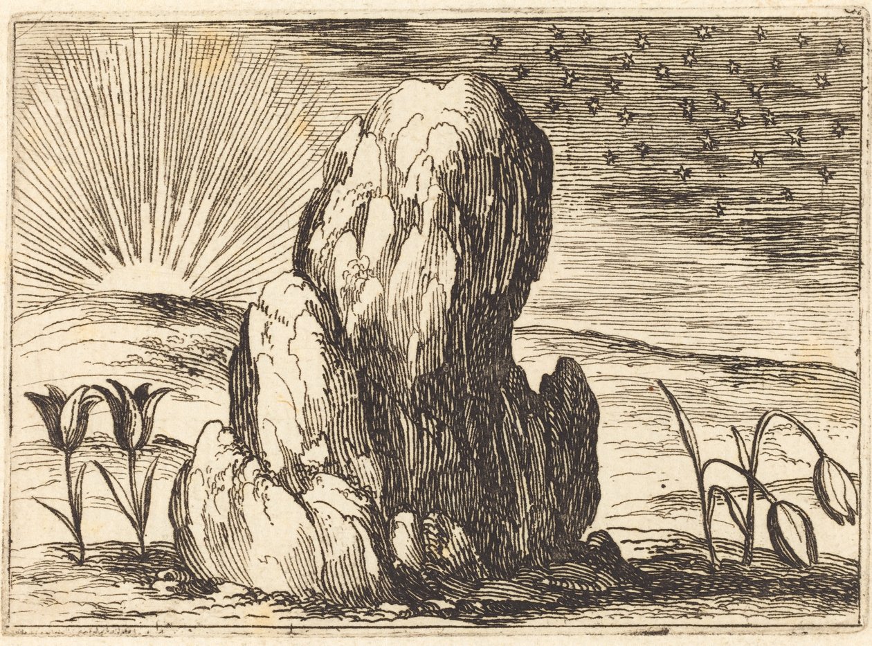 Tulipanene og solen av Jacques Callot