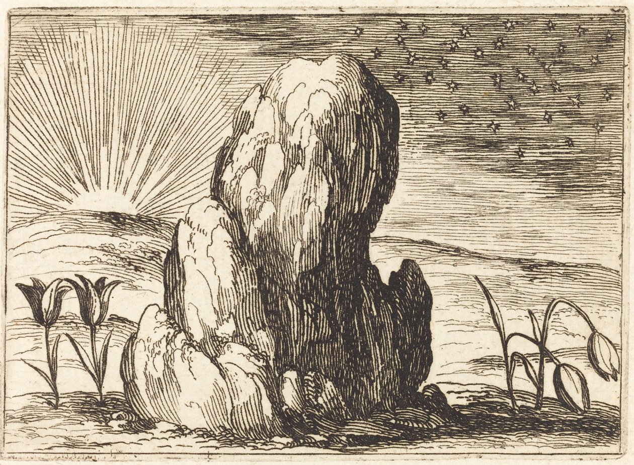 Tulipanene og solen, 1628. av Jacques Callot