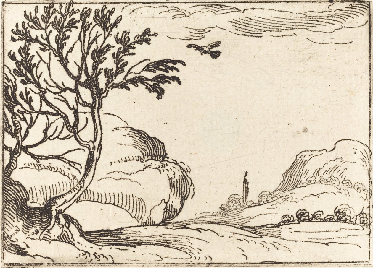 Turteldue som flyr i ørkenen av Jacques Callot