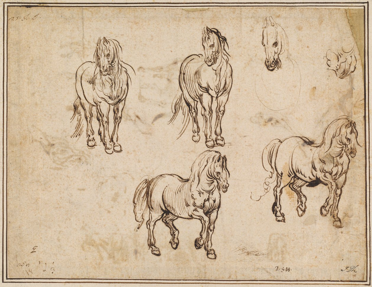 Studies of Horses [recto]   1227067   no       norwegian Successfully Translated  Original: Humming Birds, or A Dandy Trio Translat: Humming Birds, or A Dandy Trio 1272117 no norwegian Successfully Translated Original: Portrait of a Woman, 1640. Translat:  av Jacques Callot after Antonio Tempesta