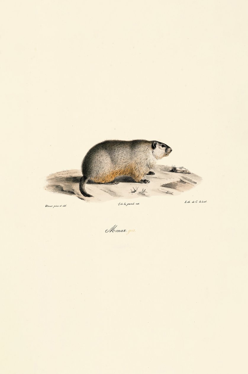  av Jacques Christophe Werner