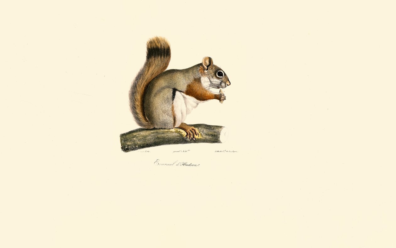  av Jacques Christophe Werner