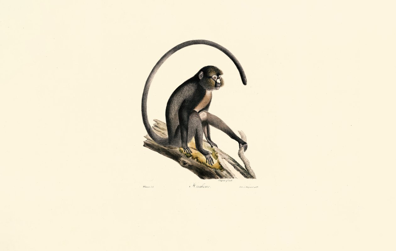  av Jacques Christophe Werner