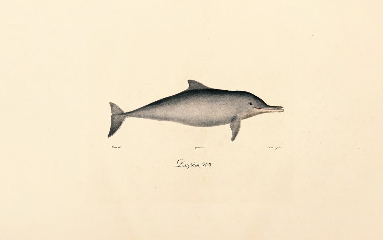 av Jacques Christophe Werner
