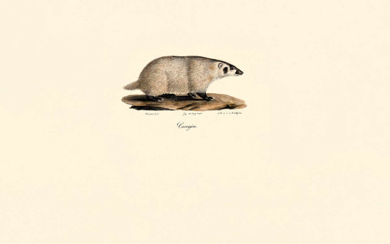  av Jacques Christophe Werner