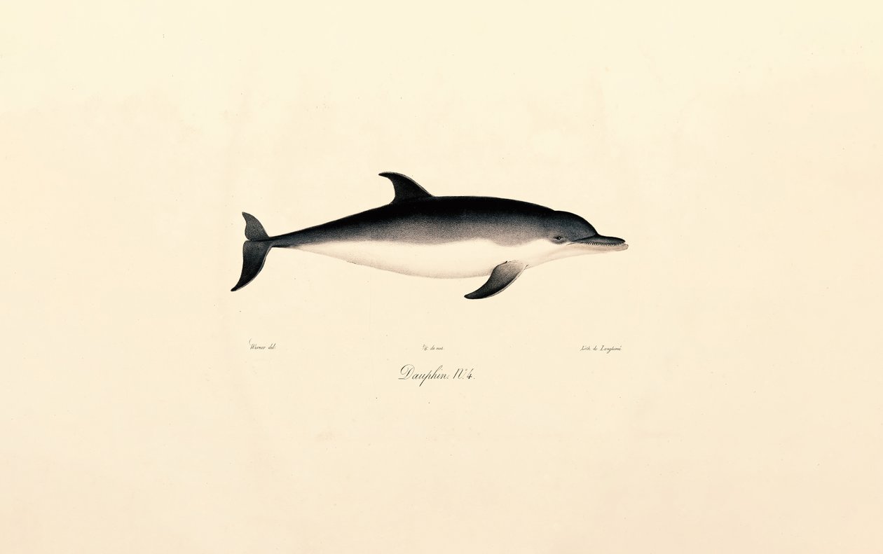 av Jacques Christophe Werner
