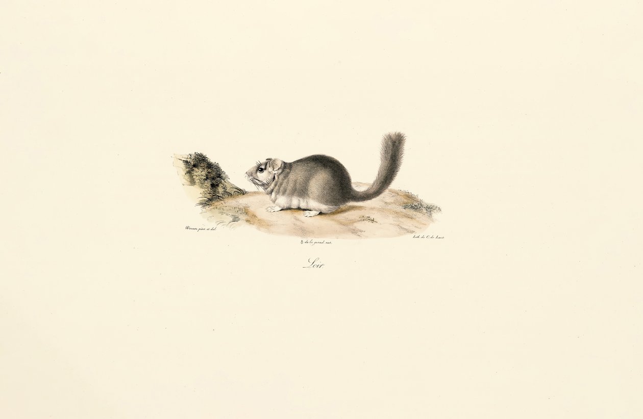  av Jacques Christophe Werner