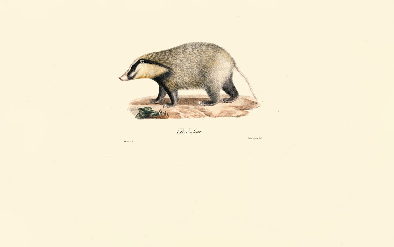  av Jacques Christophe Werner