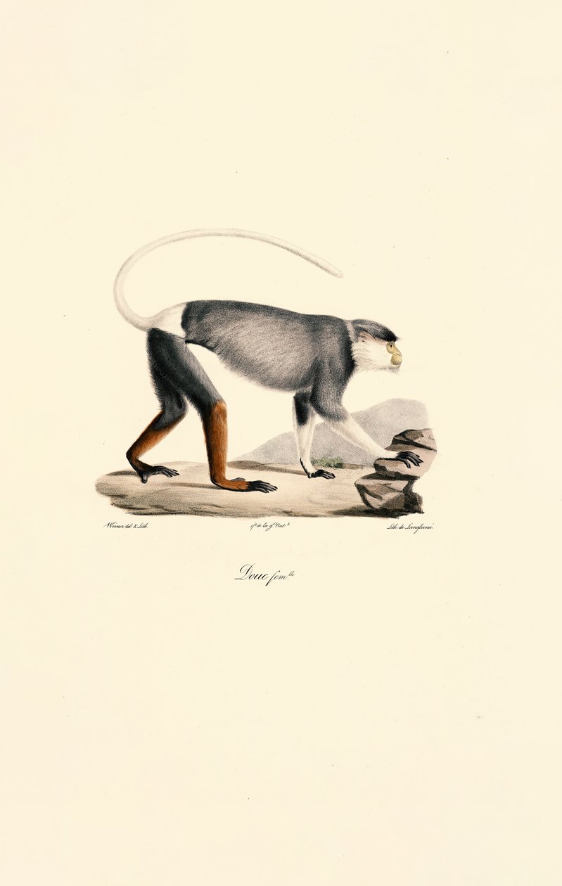  av Jacques Christophe Werner