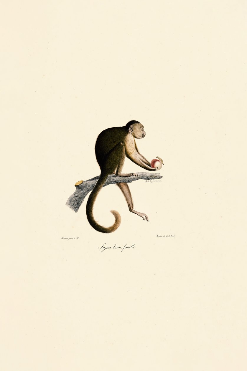  av Jacques Christophe Werner