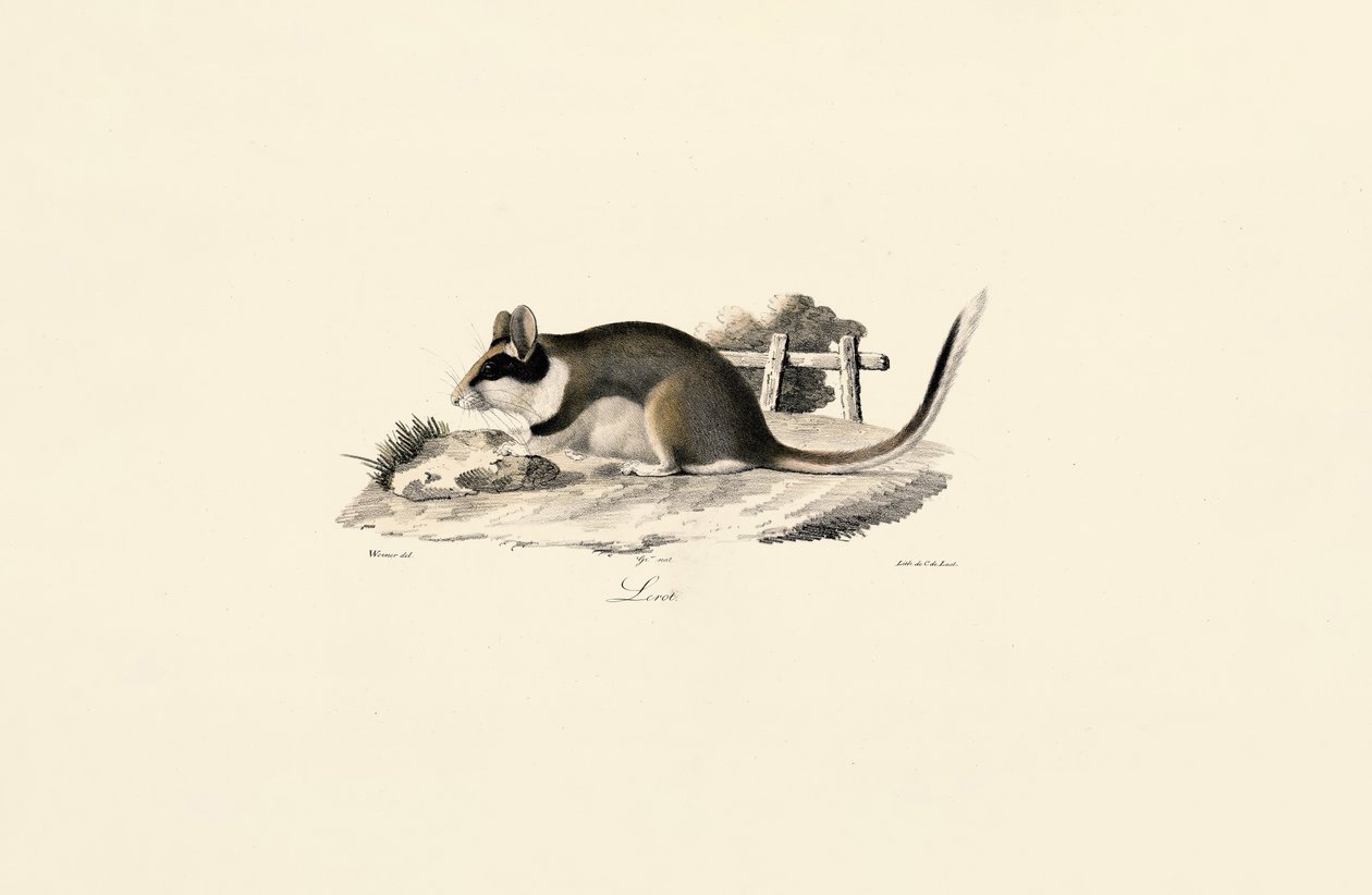  av Jacques Christophe Werner