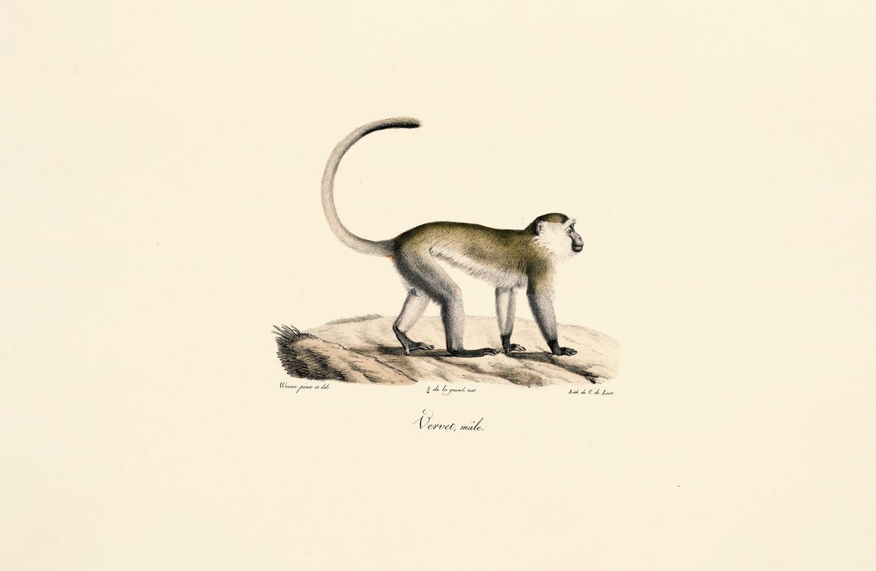  av Jacques Christophe Werner