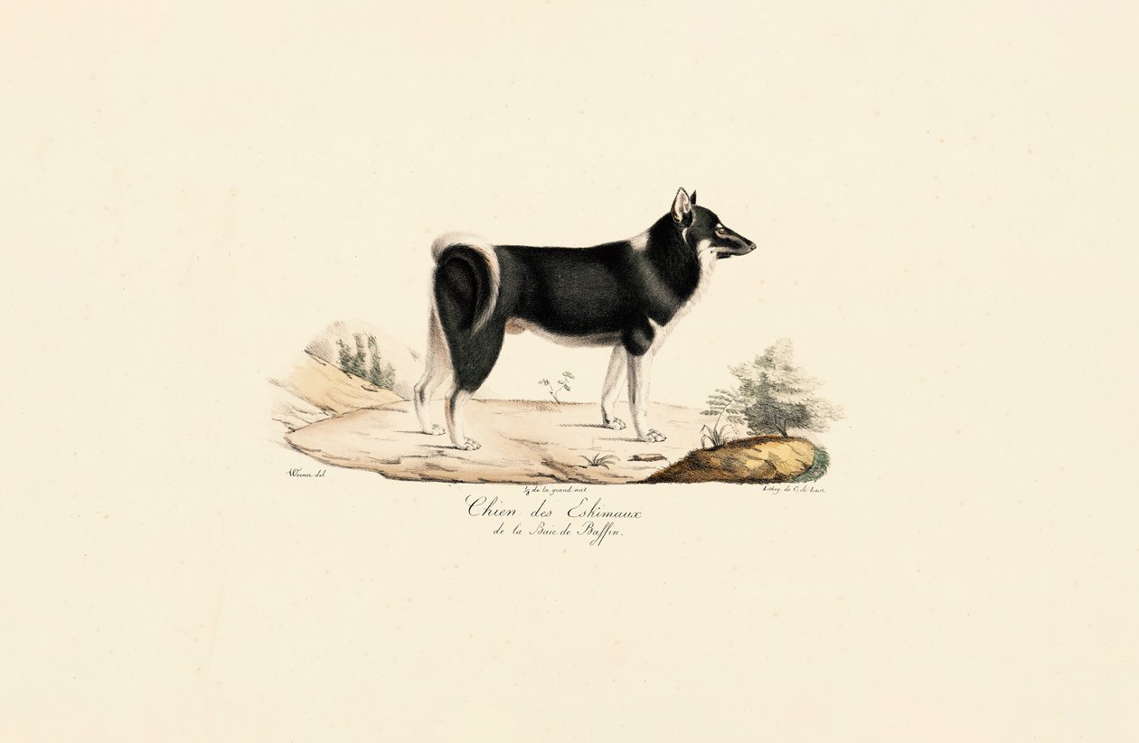  av Jacques Christophe Werner