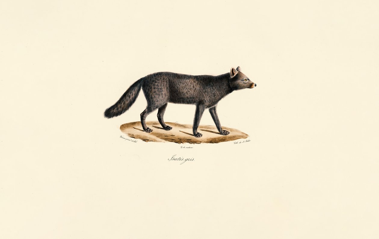  av Jacques Christophe Werner