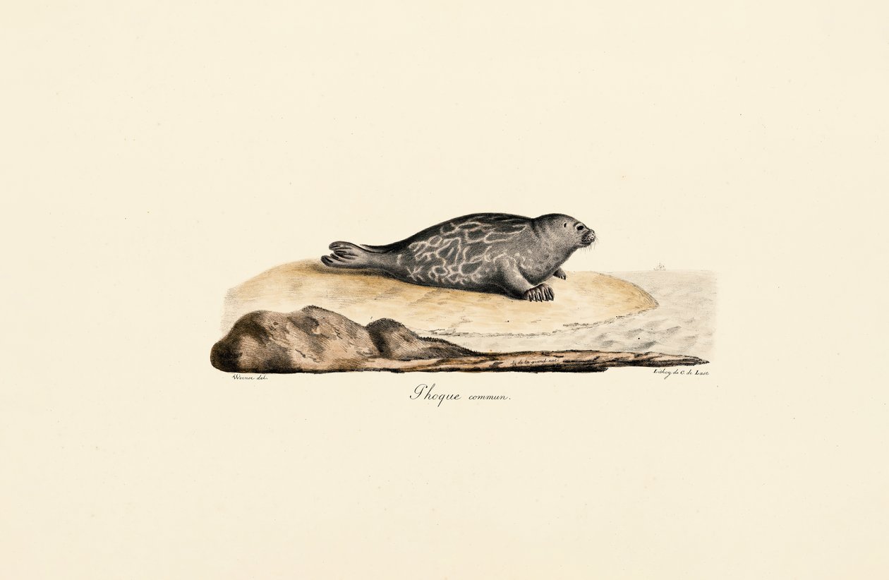 av Jacques Christophe Werner