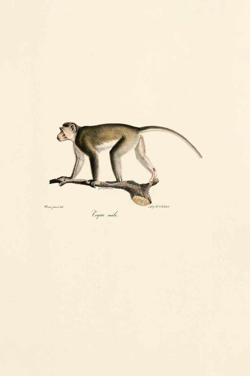  av Jacques Christophe Werner